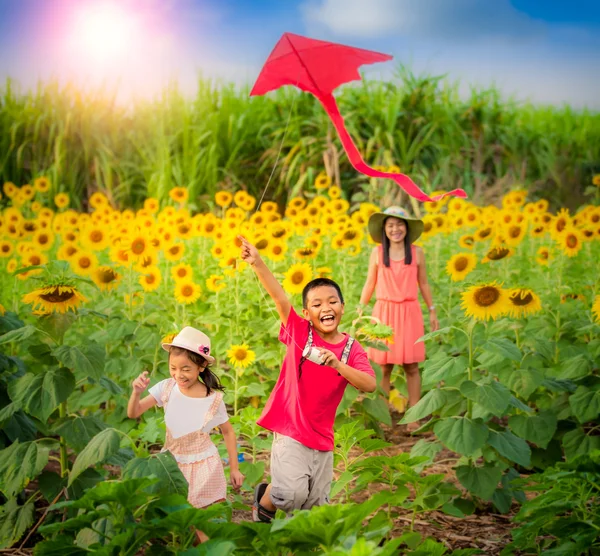 Mãe e filho no verão brincando com pipa — Fotografia de Stock