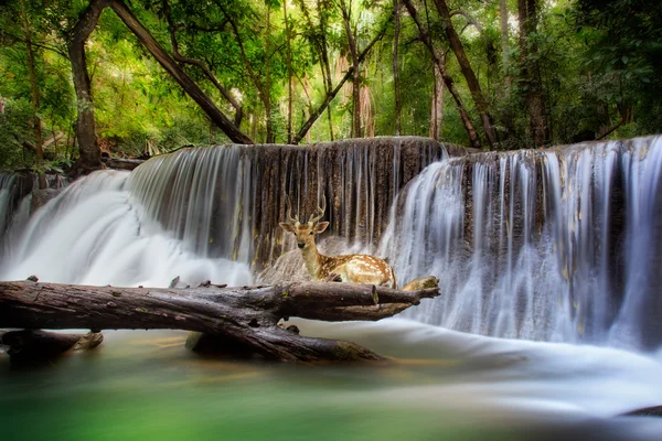 Cachoeira Huai Mae Kamin — Fotografia de Stock