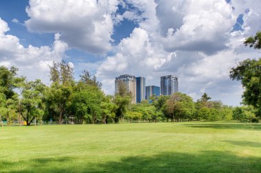 Central park güneşli bir gün