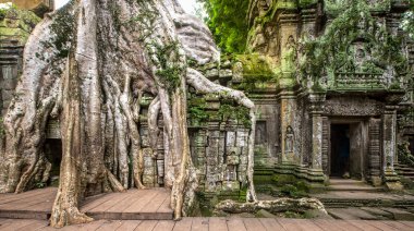 Antik, ta prohm Harabeleri