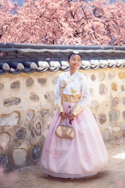 Asian woman traveler in traditional korean dress or hanbok dress walking in old palace with sakura flower background, Seoul city, South Korea