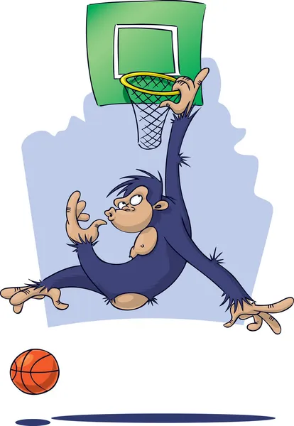 Monkey spela basket — Stockfoto