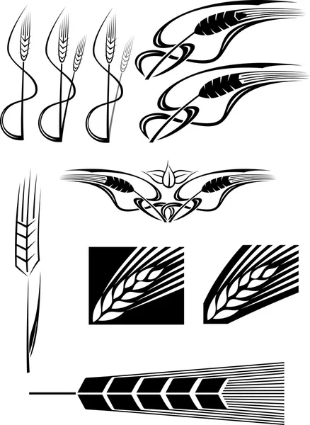 Various Wheat icons Stock Image