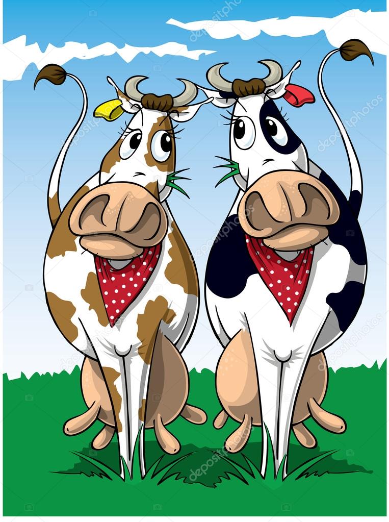 Two Funny Cows.