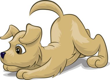 sinsi sinsi köpek yavrusu