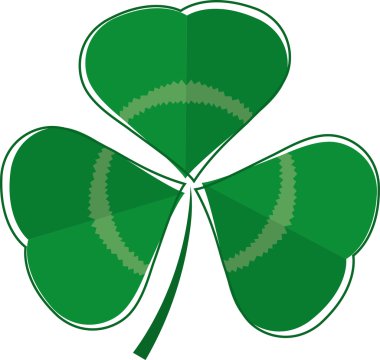 Üç leaf clover bitki