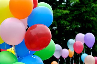 Şehir festivalinde ağaçlar karşısında çok renkli balonlar