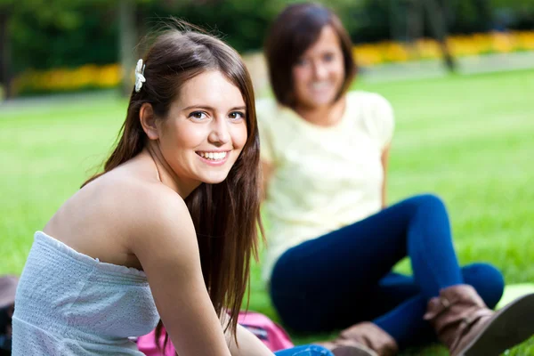 Group of students Stock Picture