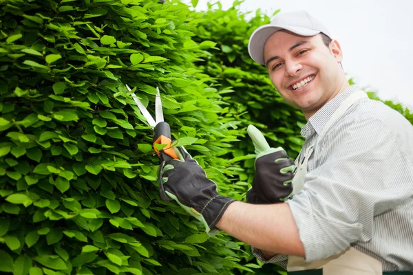 Jardinier au travail — Photo