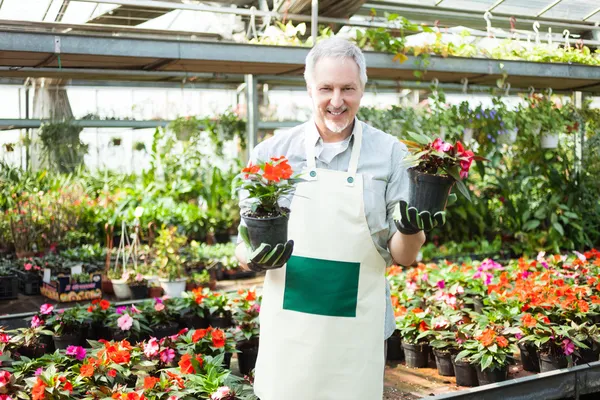 Man holding flower pots — Stock Photo, Image