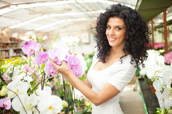 温室の蘭の花を探している女性 — ストック写真