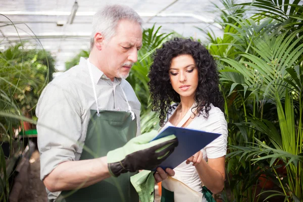 Workers examining plants — Stock Photo, Image