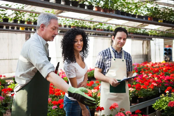 Portrait Woman Shopping Greenhouse — Stock Photo, Image