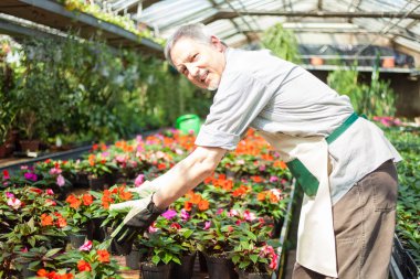 Man taking a flower pot