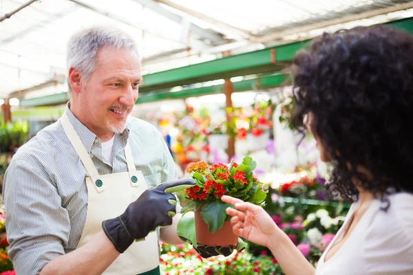 Greenhouse worker giving a plant to a customer — Stock Photo, Image