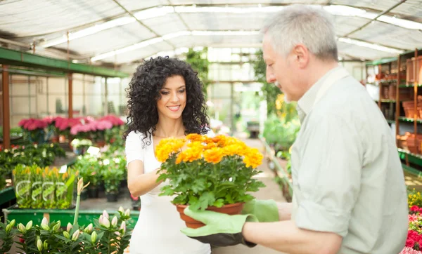 Greenhouse worker talking to a customer — Stock Photo, Image