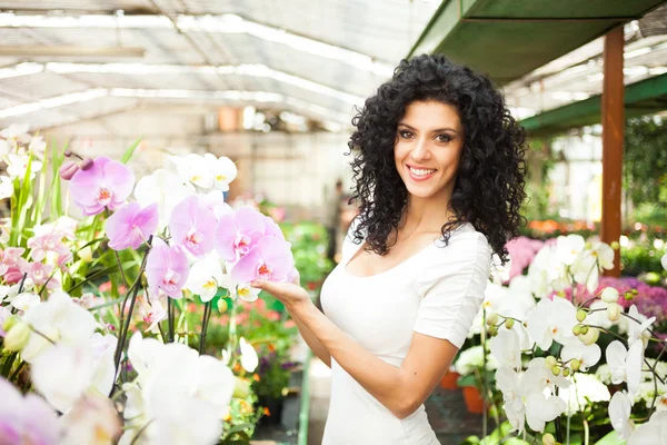温室の蘭の花を探している女性 — ストック写真