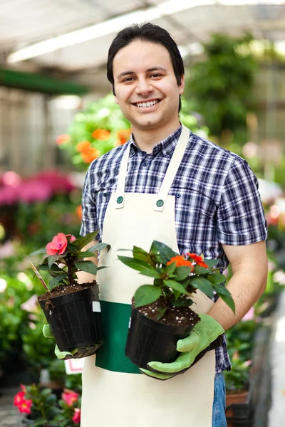 Heureux jardinier dans une serre tenant des fleurs — Photo