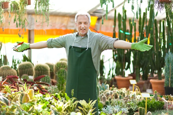 Happy gardener in a greenhouse — Stock Photo, Image