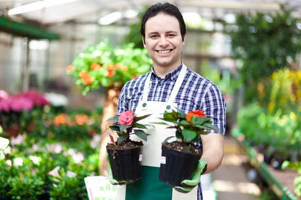 Feliz jardinero en un invernadero sosteniendo flores — Foto de Stock