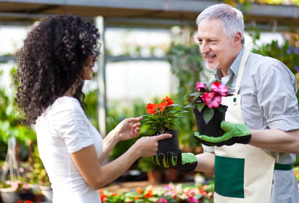 Mujer eligiendo flores en un invernadero —  Fotos de Stock