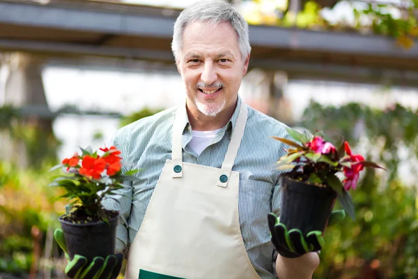 Heureux jardinier dans une serre tenant deux vases de fleurs — Photo