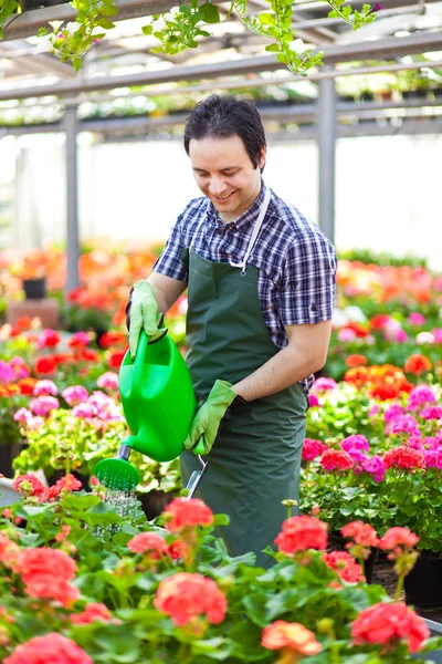 Portret pracownik szklarni podlewanie roślin — Zdjęcie stockowe