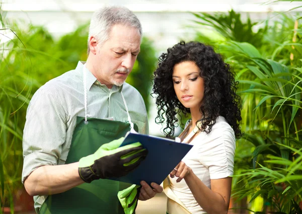 Trabajadores examinando plantas en un invernadero — Foto de Stock