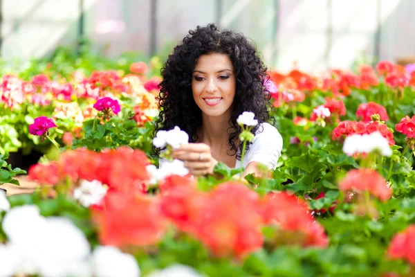 Young woman looking at flowers in a greenhouse — Stock Photo, Image