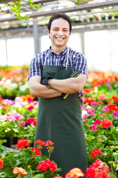 Guapo joven jardinero en un invernadero — Foto de Stock