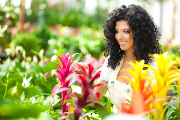 Vackra kvinnliga florist röra några blommor i ett växthus — Stockfoto