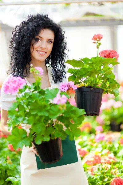 Красива жінка тримає квіткові горщики — стокове фото