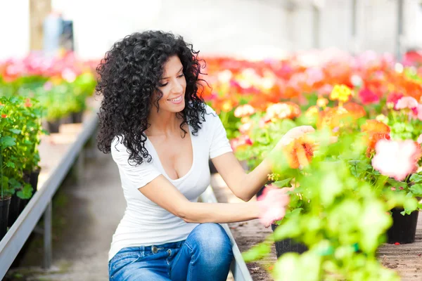 Bella donna in un ambiente floreale — Foto Stock