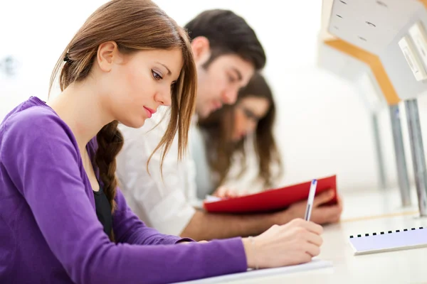 Personas que estudian juntas en una biblioteca — Foto de Stock