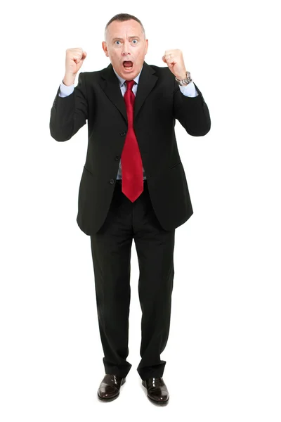 Businessman in a winning pose — Stock Photo, Image