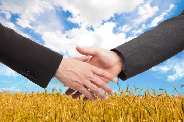 Des gens se serrent la main dans un champ de blé — Photo