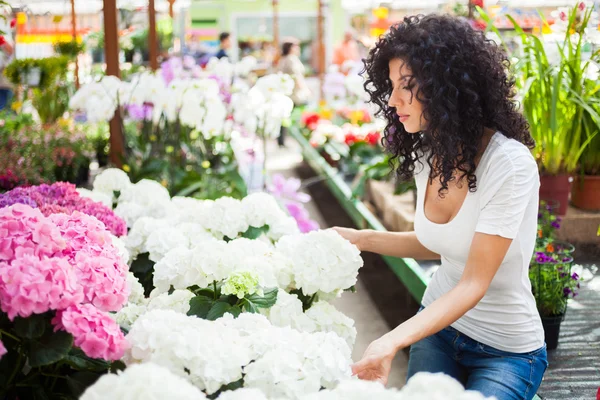 Woman shopping in a greenhouse — Stock Photo, Image