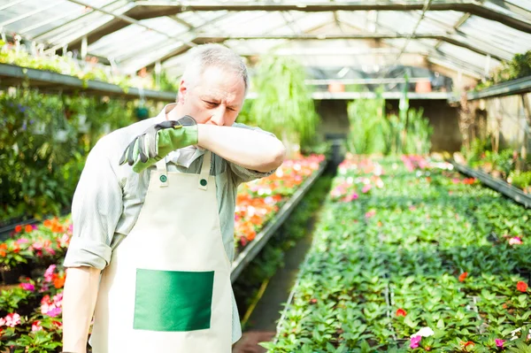 Porträt eines Gewächshausarbeiters — Stockfoto