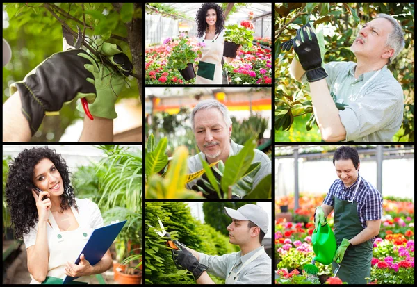 Jardiniers au travail — Photo