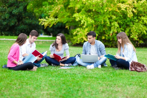 Groupe d'étudiants étudiant en plein air — Photo