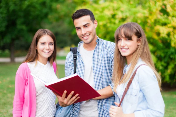 Students reading a book — Stock Photo, Image