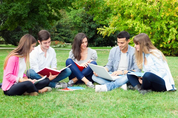 Estudiantes estudiando al aire libre — Foto de Stock