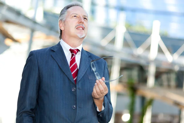 Retrato de hombre de negocios senior — Foto de Stock