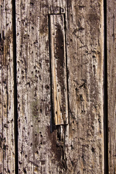 Textura de madeira — Fotografia de Stock