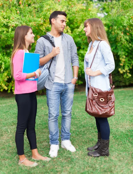 Students talking in a park Stock Picture