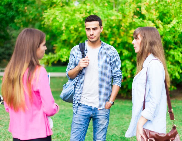 Students talking in a park Stock Image