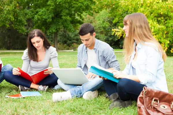 Grupo de estudiantes que estudian al aire libre — Foto de Stock