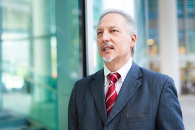 üst düzey iş adamı açık havada