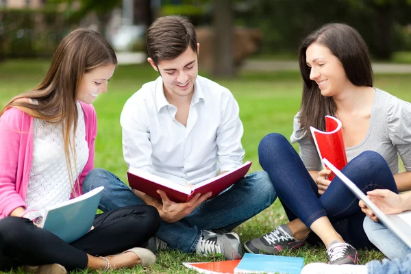 Estudantes que estudam ao ar livre — Fotografia de Stock