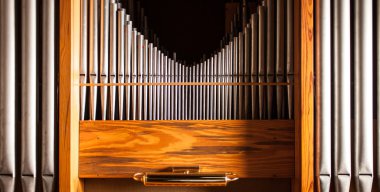 Boru organ